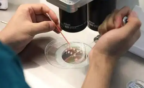 昆明打破偏见的生命礼赞：同性生子背后的爱与坚守